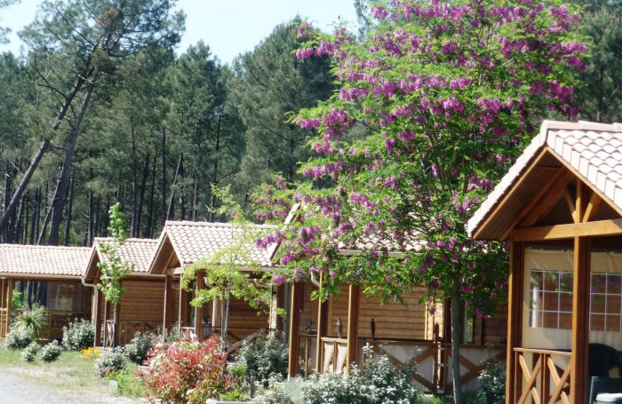 Choisir Les Landes Océanes pour des vacances dynamiques dans les Landes !